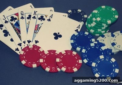 真人电子游戏新体验：泰达币桌游如何激发团队协作潜能