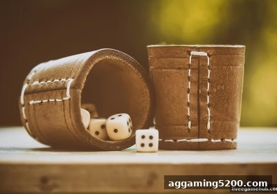 真人电子游戏SG飞艇概率计算全解析：从数学原理到理性娱乐策略