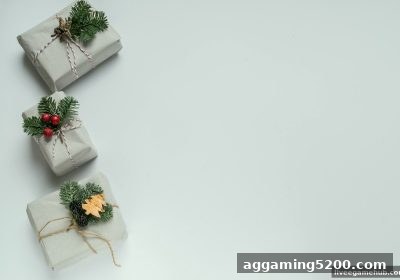 真人电子游戏新手入门礼包与加盟合作全解析